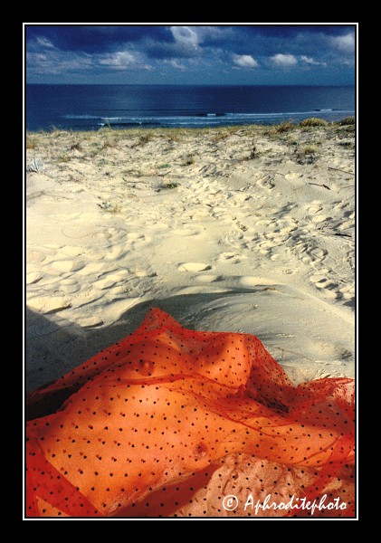 107 Le voile des sables
